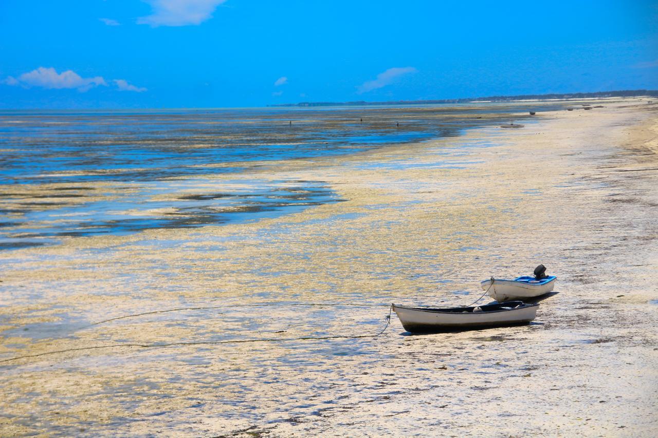 African Sun Sea Beach Resort & Spa Zanzibár Kültér fotó